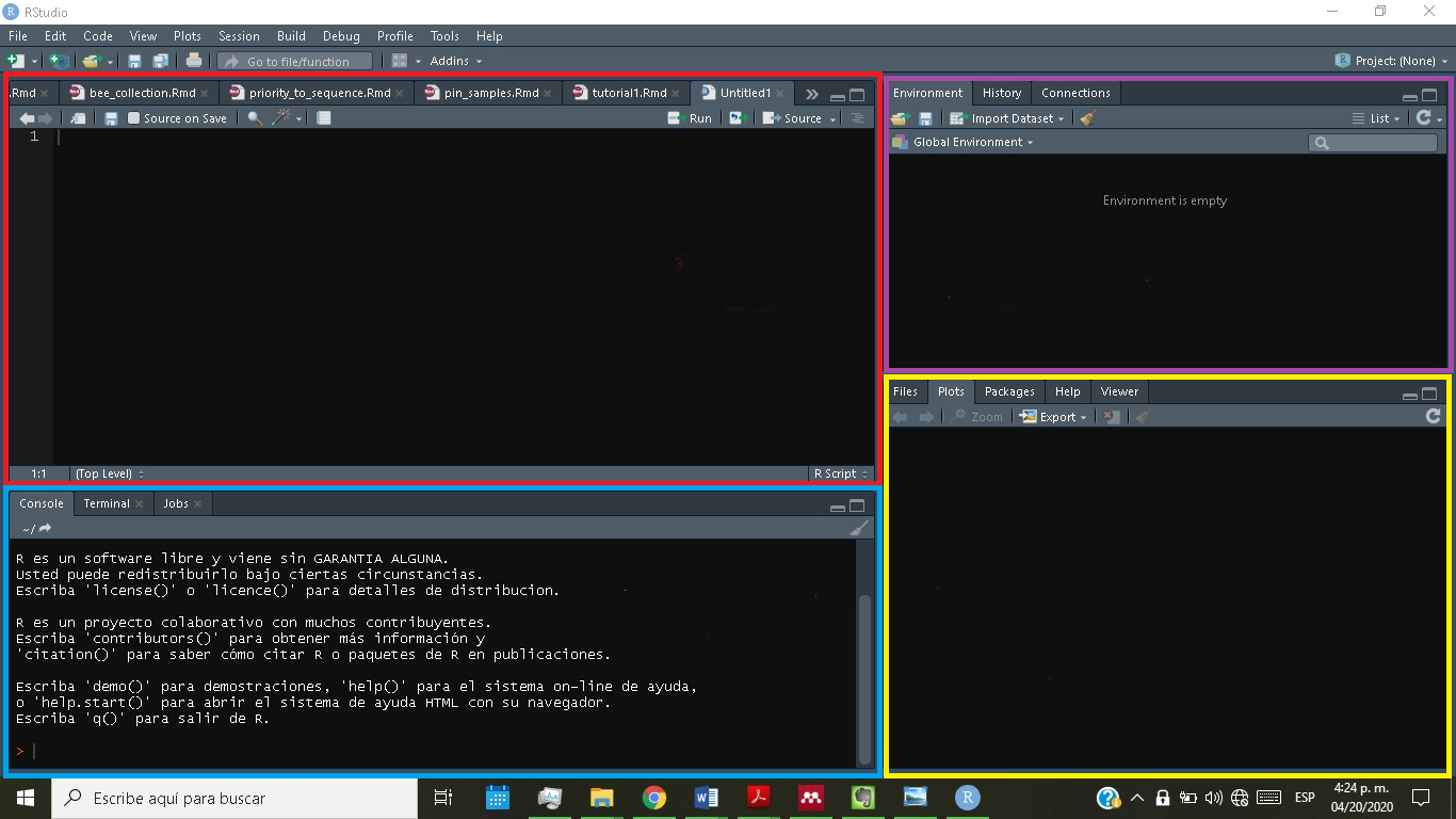 Figure 2. RStudio interface.